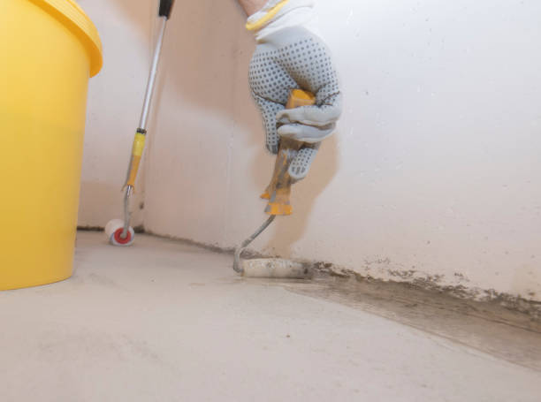 Best Termite Inspection and Treatment  in Crossville, TN